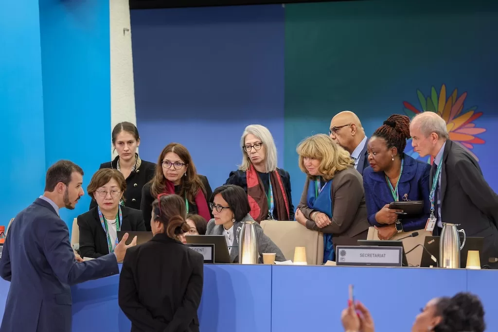 Brazil’s Patrick Luna conferring with COP16 president Susana Muhamad and the UN’s biodiversity secretariat. Credit: IISD/ENB | Mike Muzurakis (2025)