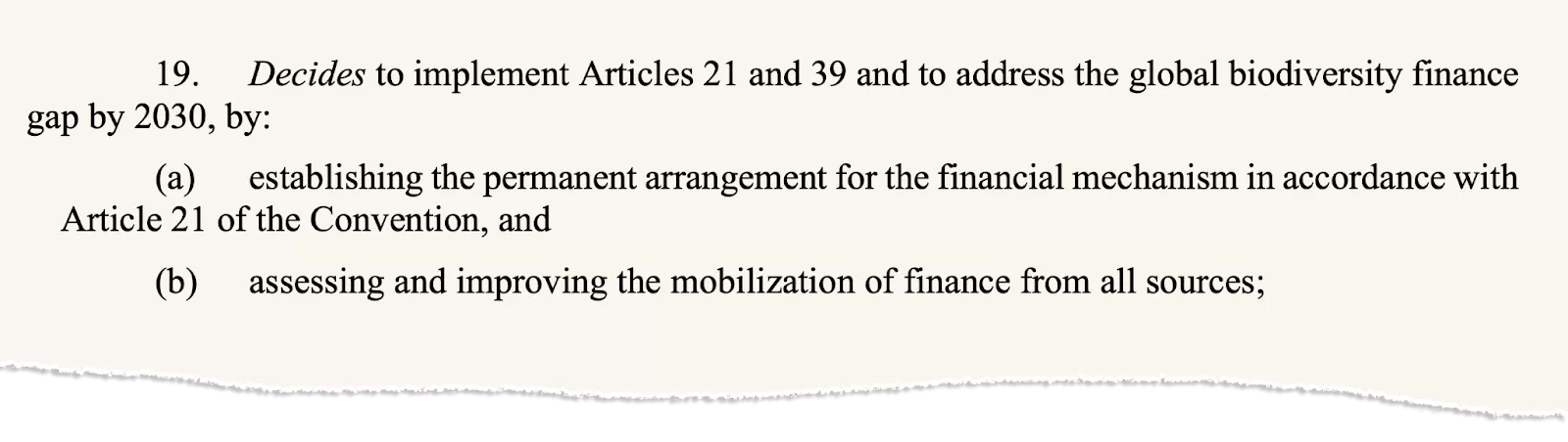 Paragraph 19 of the final decision on resource mobilisation