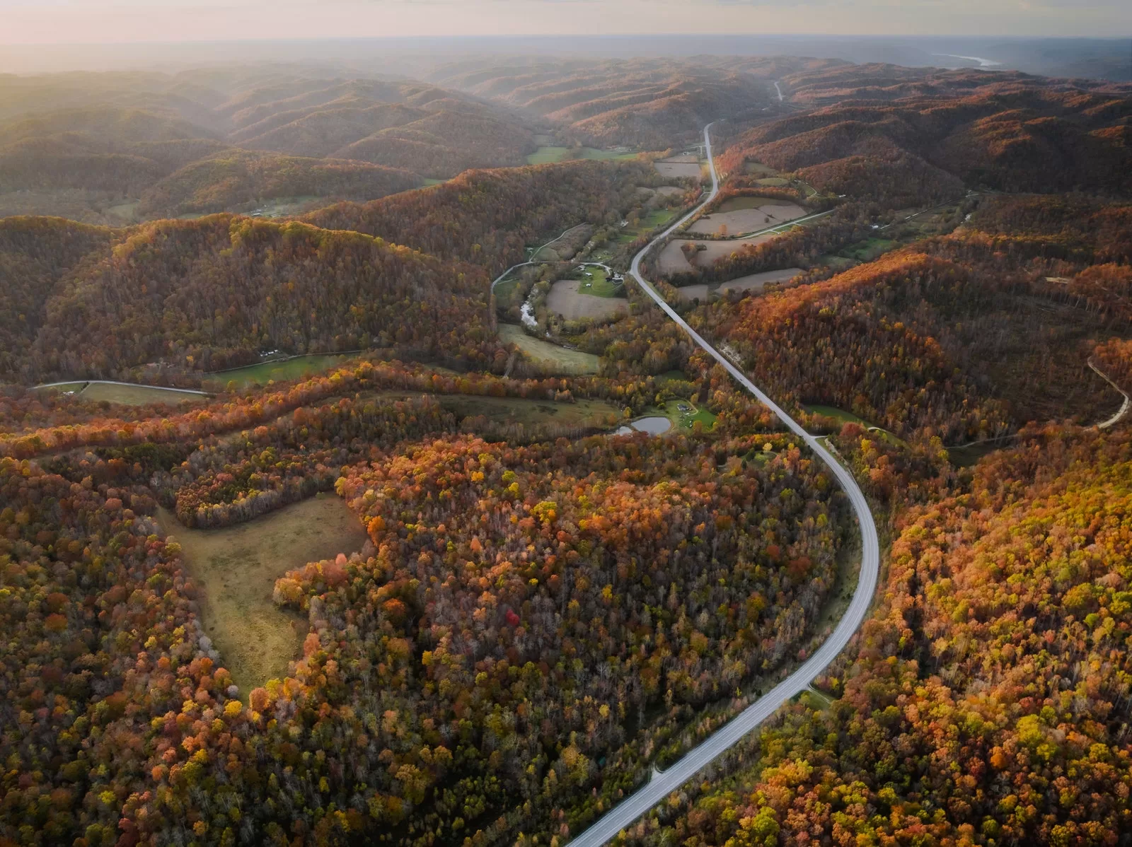 Image may contain Land Nature Outdoors Plant Tree Vegetation Woodland Road and Aerial View