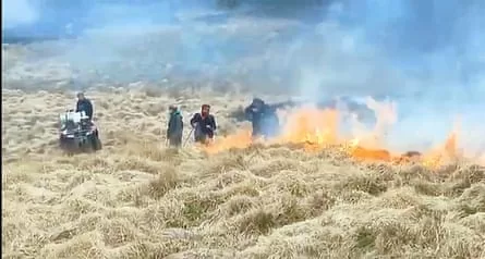 People standing amid burning grassland.