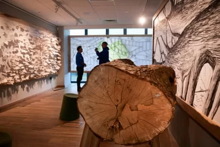 A section of the Sycamore Gap tree’s trunk sits on a support in a room with large artworks on the walls