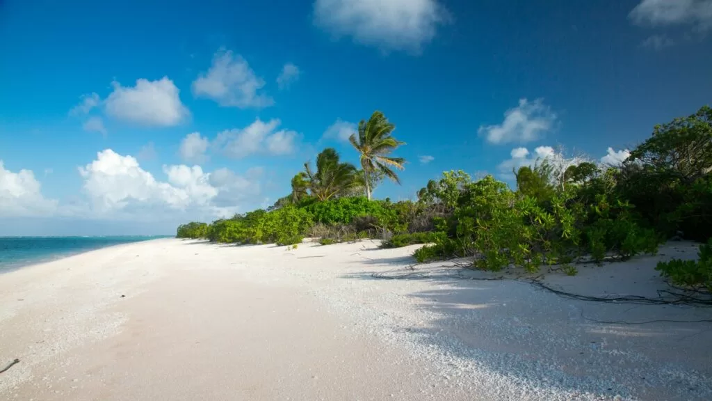 Why the Marshall Islands Marine Sanctuary Matters for Global Conservation 1 The Marshall Islands Marine Sanctuary could also attract ecotourism.